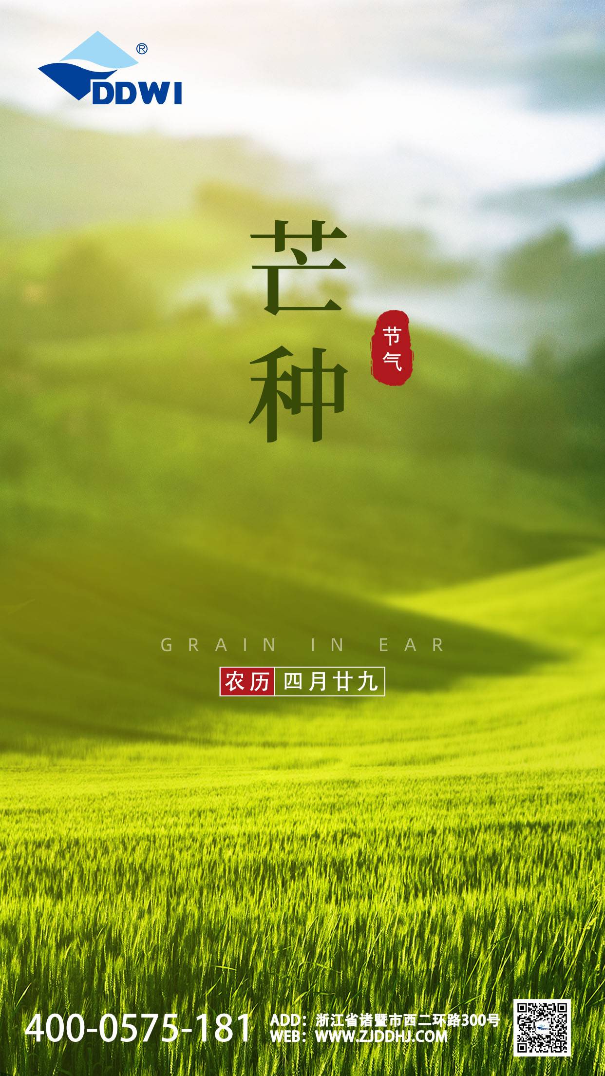 芒种(1)
