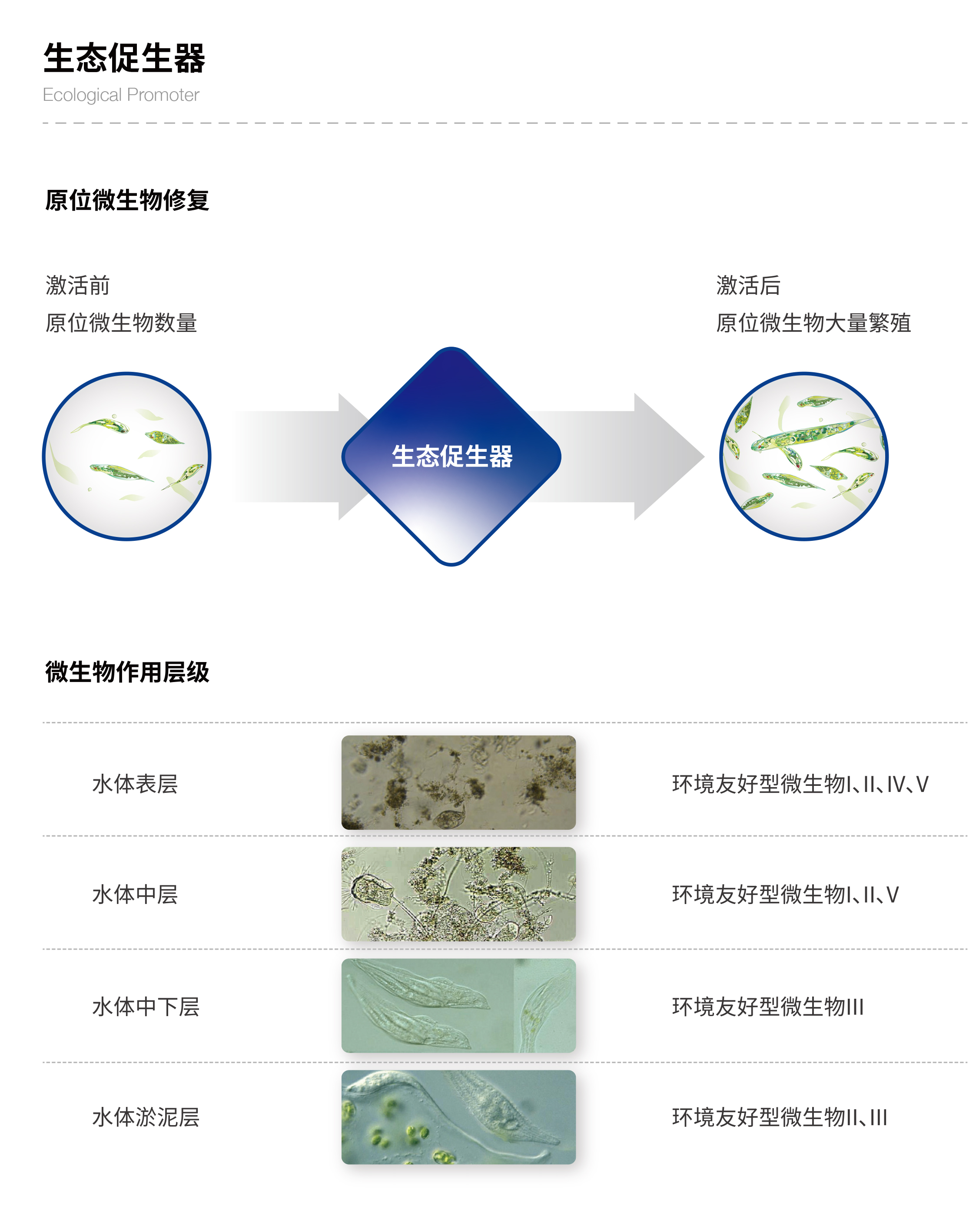 小流域生态治理技术